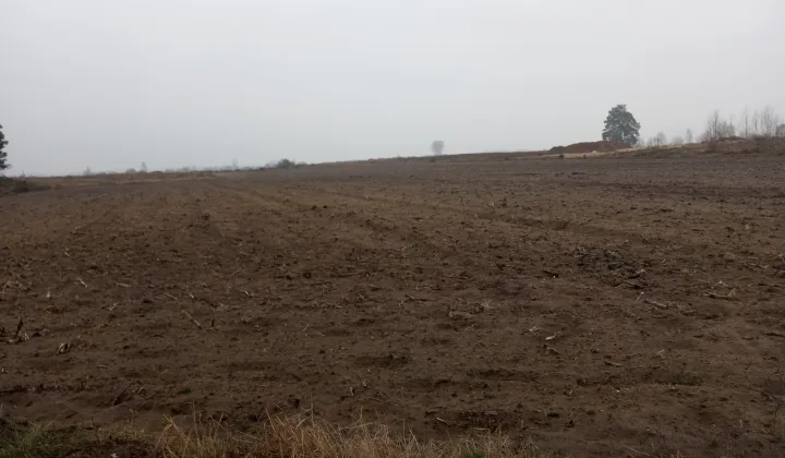 Działka rolno-budowlana Sojczyn Borowy