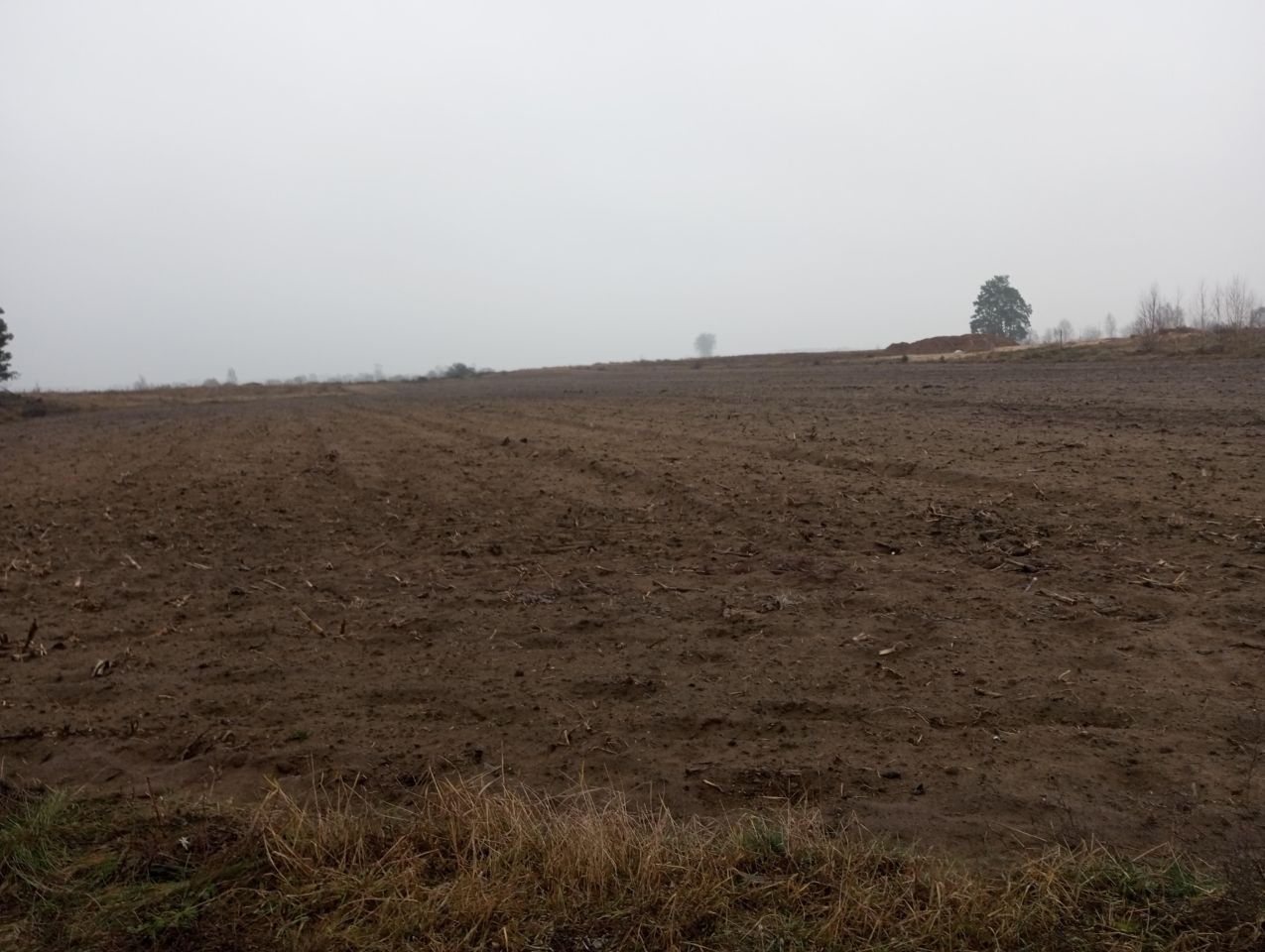 Działka rolno-budowlana Sojczyn Borowy. Zdjęcie 2