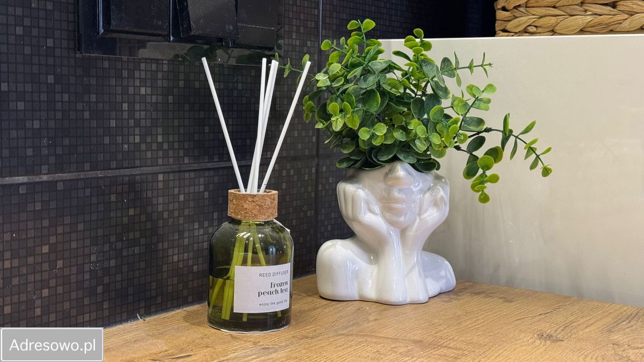 Mieszkanie 3-pokojowe Grudziądz Rządz, ul. Ksawerego Froelicha. Zdjęcie 16