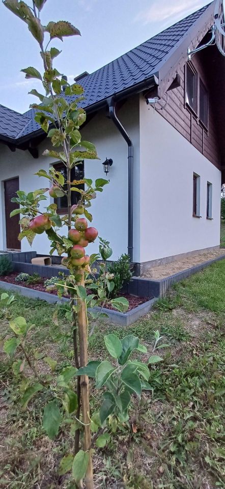 dom wolnostojący, 4 pokoje Demlin, Demlin. Zdjęcie 3