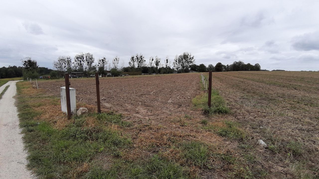 Działka budowlana Pierwoszów, ul. Polna