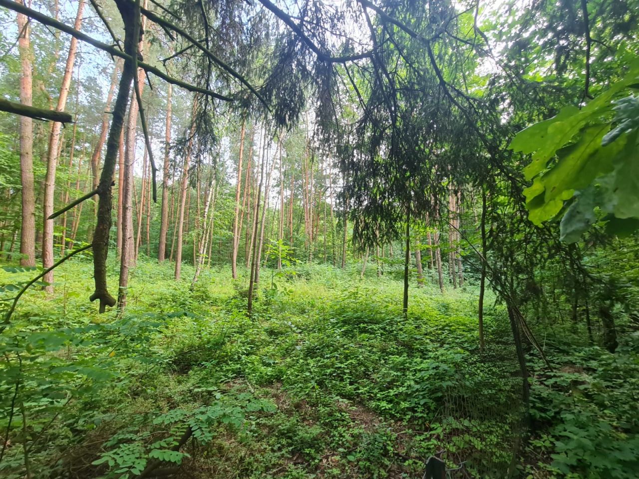 dom letniskowy, 3 pokoje Kębliny, ul. Letniskowa. Zdjęcie 3