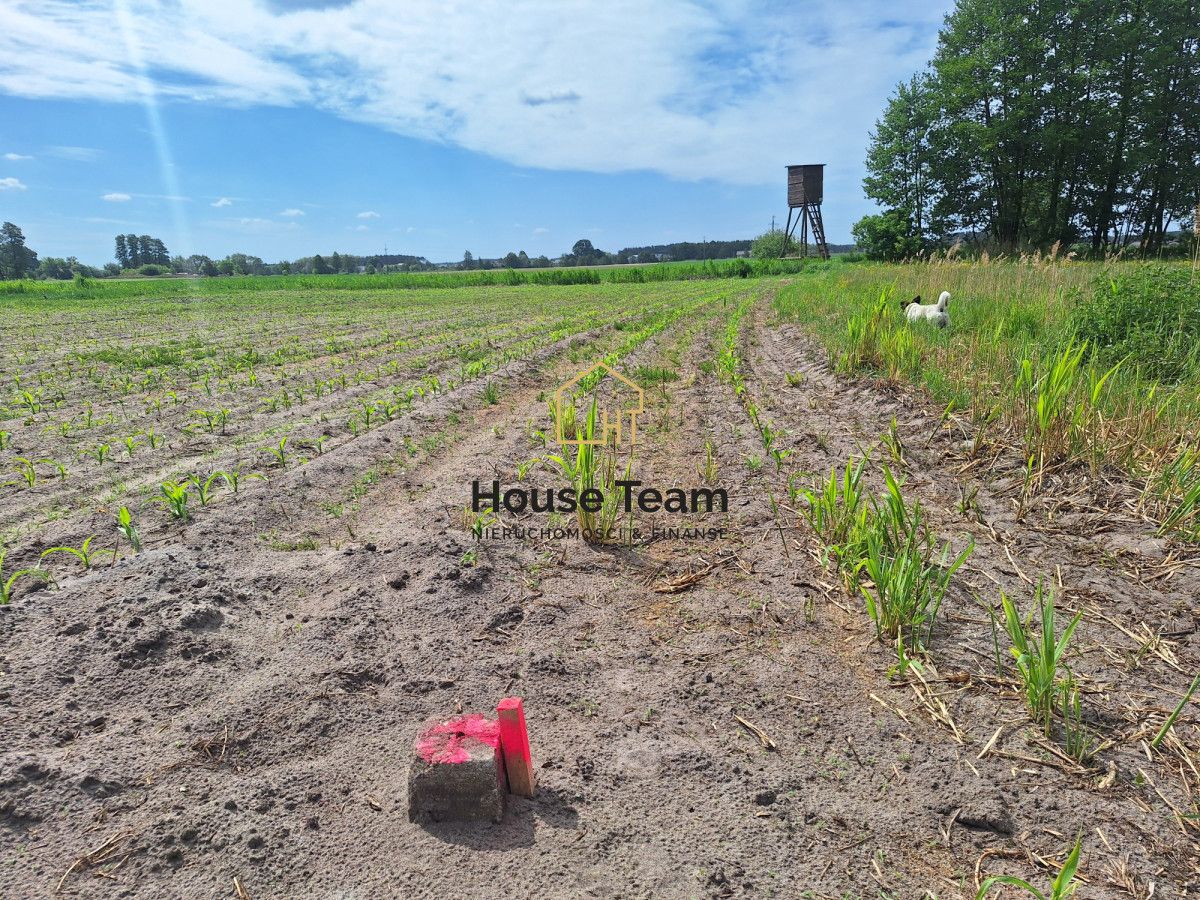 Działka rolna Toporzysko, ul. Podleśna. Zdjęcie 15