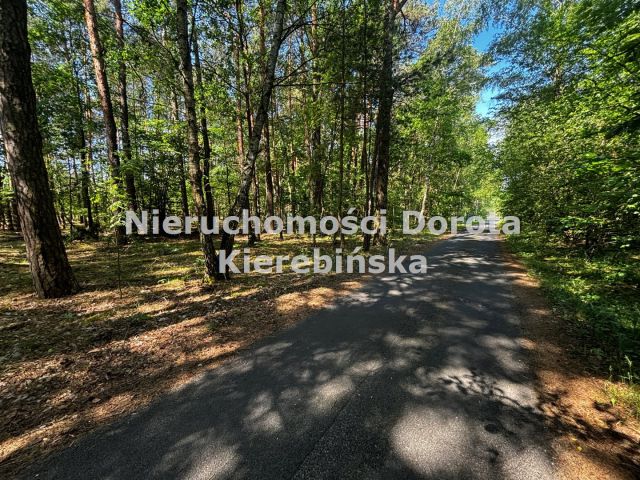 Działka rolna Stefanów. Zdjęcie 8