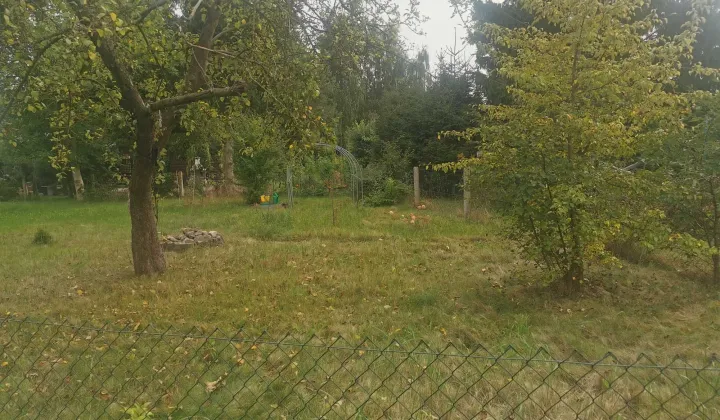 Działka rod Szczecin Gumieńce, ul. Tadeusza Szeligowskiego