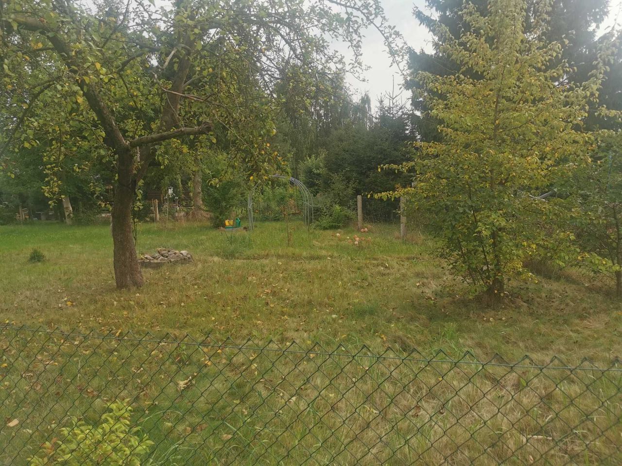 Działka rod Szczecin Gumieńce, ul. Tadeusza Szeligowskiego. Zdjęcie 1