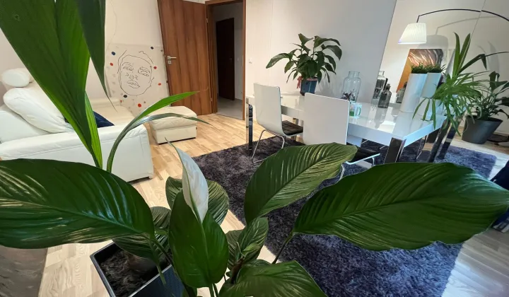 Mieszkanie 2-pokojowe Poznań Wilda, ul. Robocza