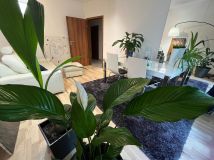 Mieszkanie 2-pokojowe Poznań Wilda, ul. Robocza