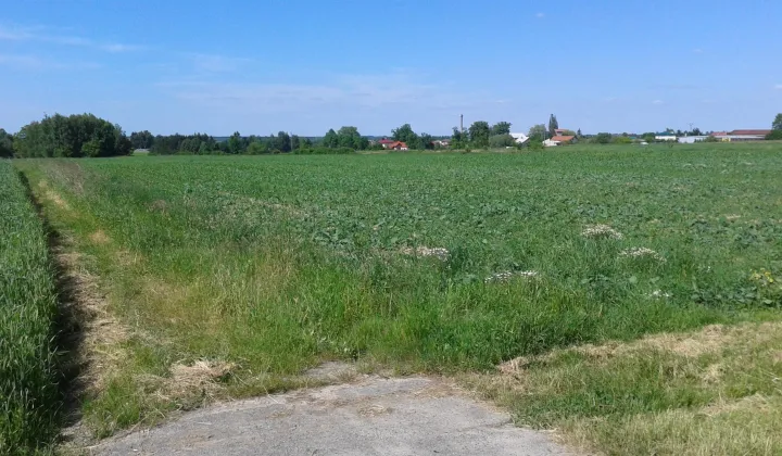 Działka rolna Sędziszów Małopolski Przedmieście Sędziszowskie, ul. Rzeszowska