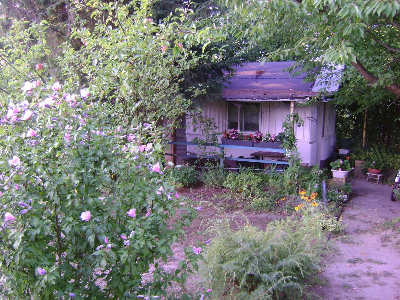 Działka rod Lublin Szerokie, ul. Nałęczowska. Zdjęcie 9