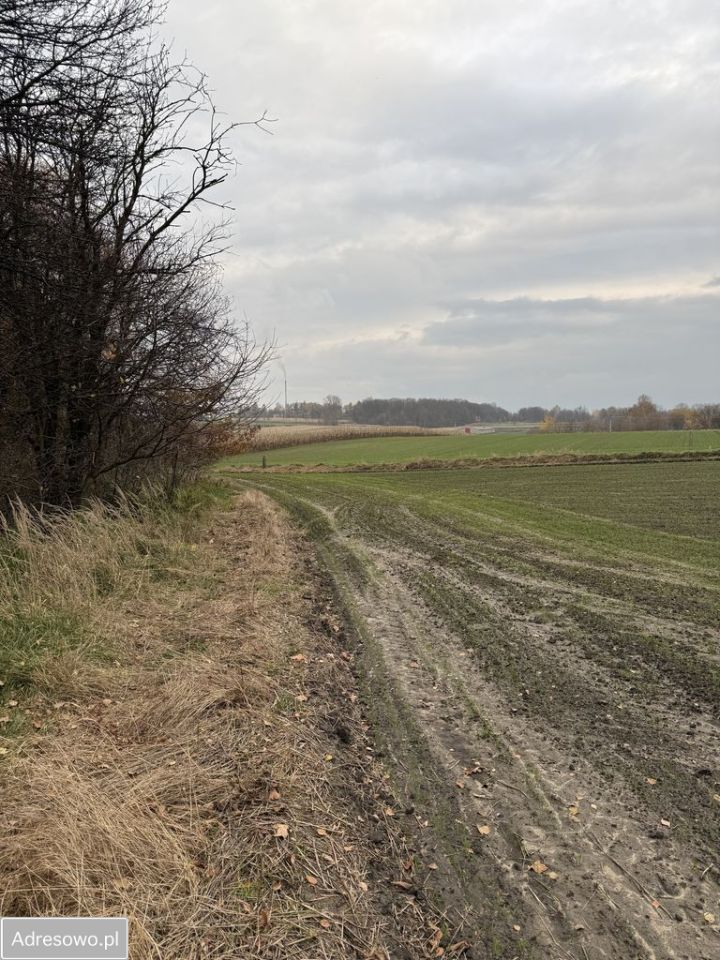 Działka rolna Piekary Śląskie Dąbrówka Wielka. Zdjęcie 6