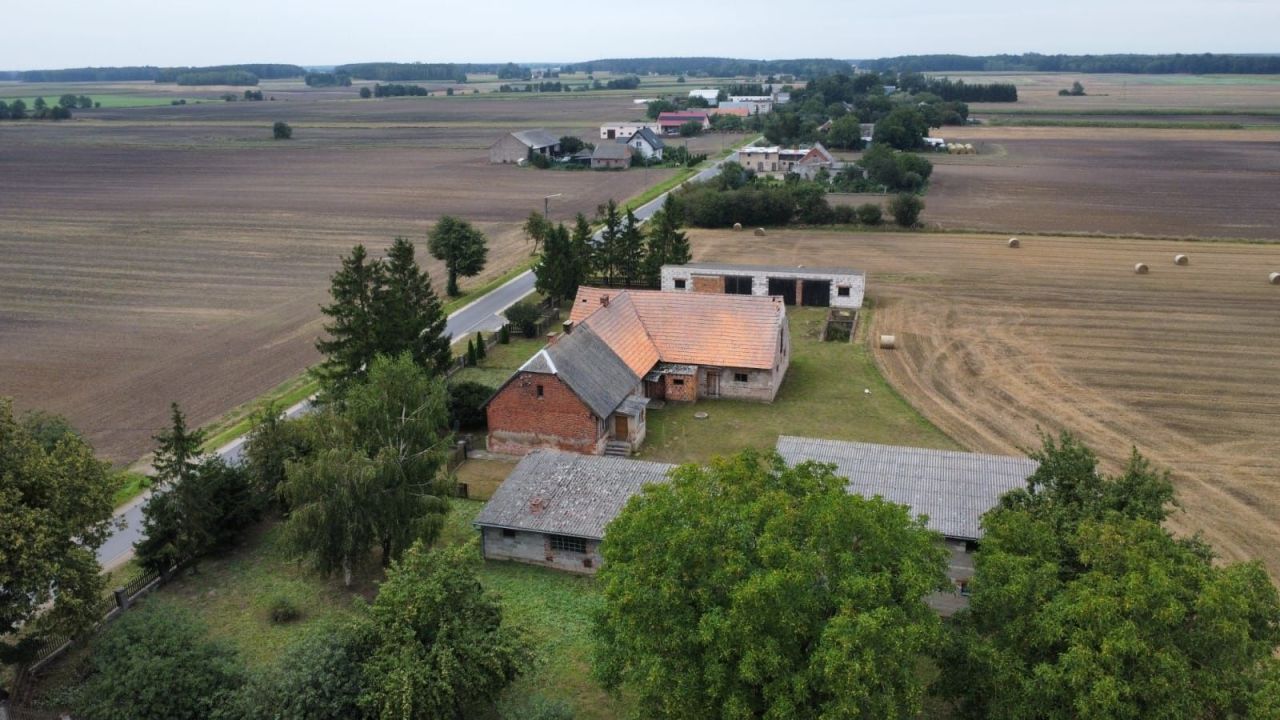 siedlisko Pruszcz. Zdjęcie 2