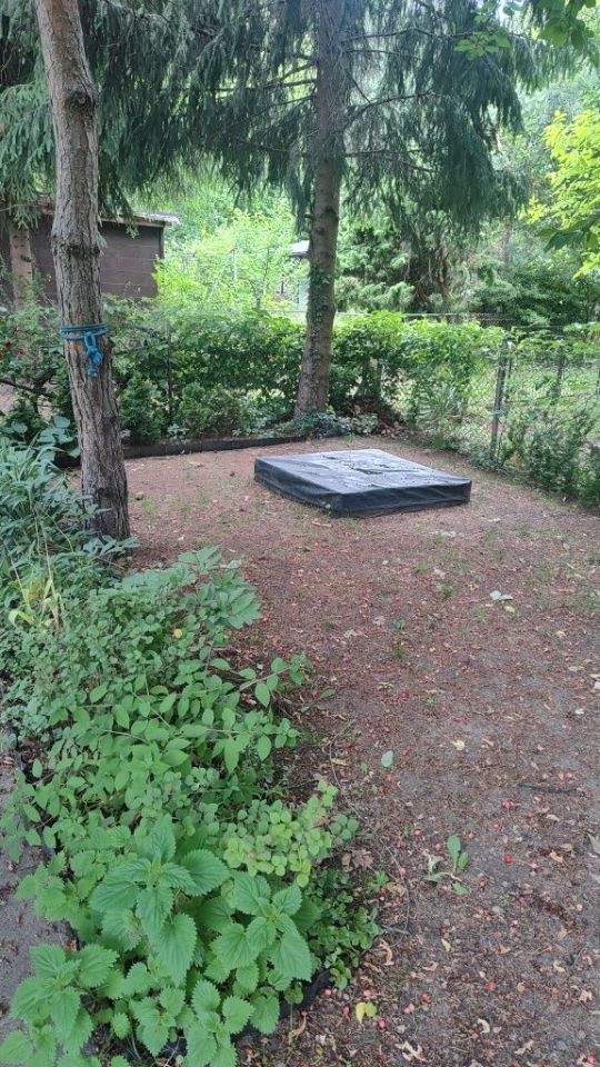 Działka rod Ząbki, ul. Wolności. Zdjęcie 6