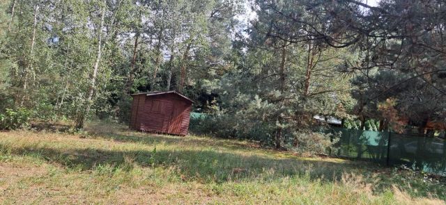 Działka rekreacyjna Rogóźno. Zdjęcie 1