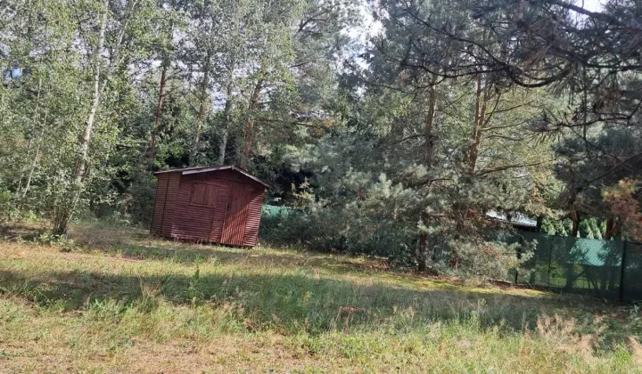 Działka rekreacyjna Rogóźno