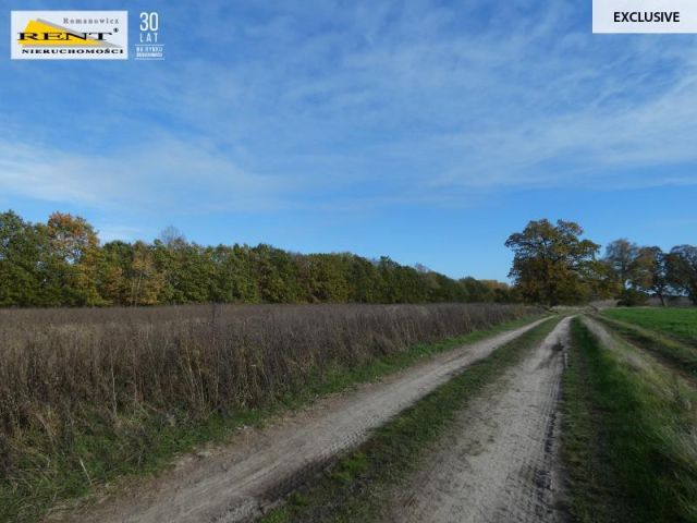 Działka siedliskowa Danowo. Zdjęcie 3