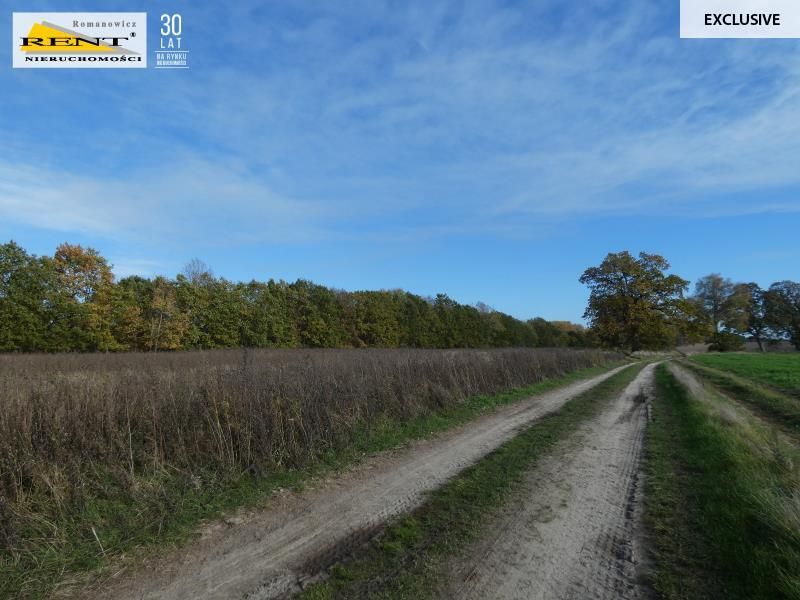 Działka siedliskowa Danowo. Zdjęcie 3