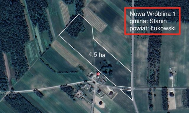 Działka rolno-budowlana Nowa Wróblina, Nowa Wróblina. Zdjęcie 1