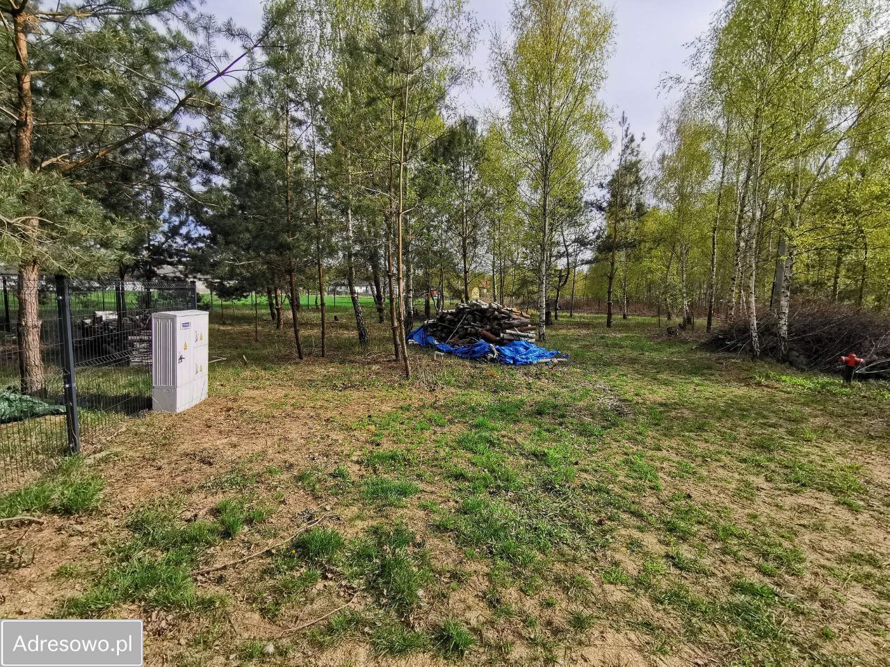 Działka budowlana Załuski. Zdjęcie 4