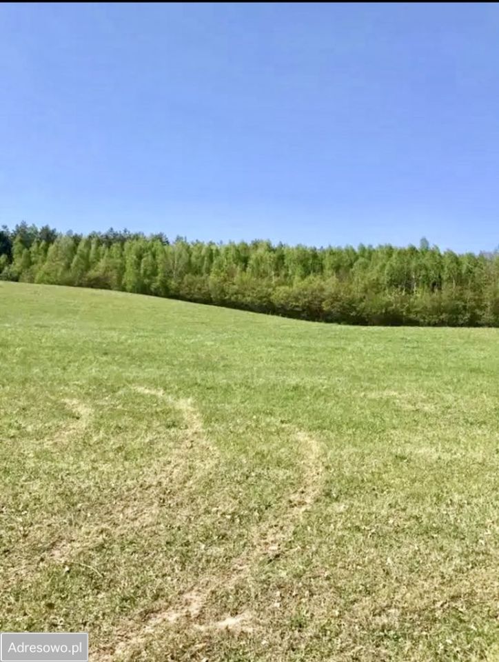 Działka rolno-budowlana Graniczna Wieś, ul. Jarzębinowa. Zdjęcie 4
