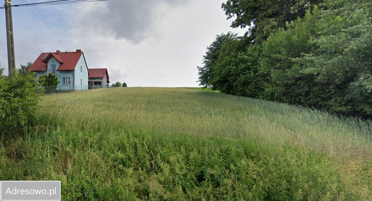 Działka rolno-budowlana Miechów. Zdjęcie 7