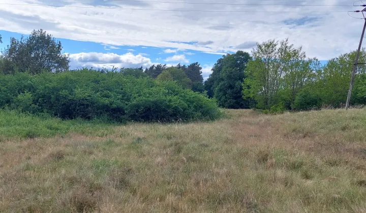 Działka rolna Borowiec