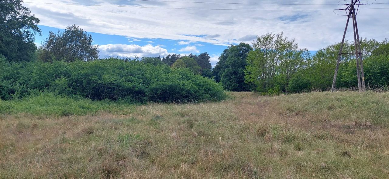 Działka rolna Borowiec