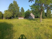 Działka siedliskowa Strzelce. Zdjęcie 3