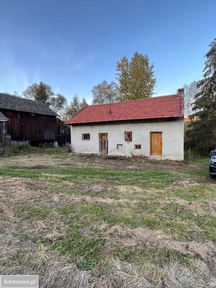 gospodarstwo, 3 pokoje Skopów. Zdjęcie 2