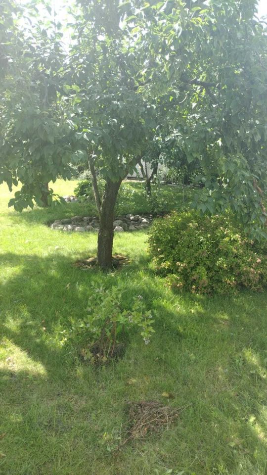 Działka rod Gniezno, ul. Kłeckoska. Zdjęcie 3