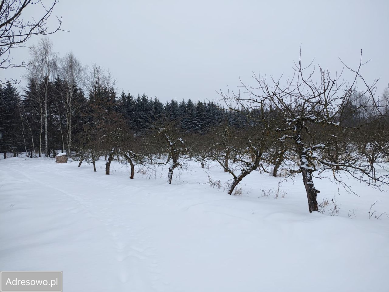 dom wolnostojący, 2 pokoje Przęsławice. Zdjęcie 8