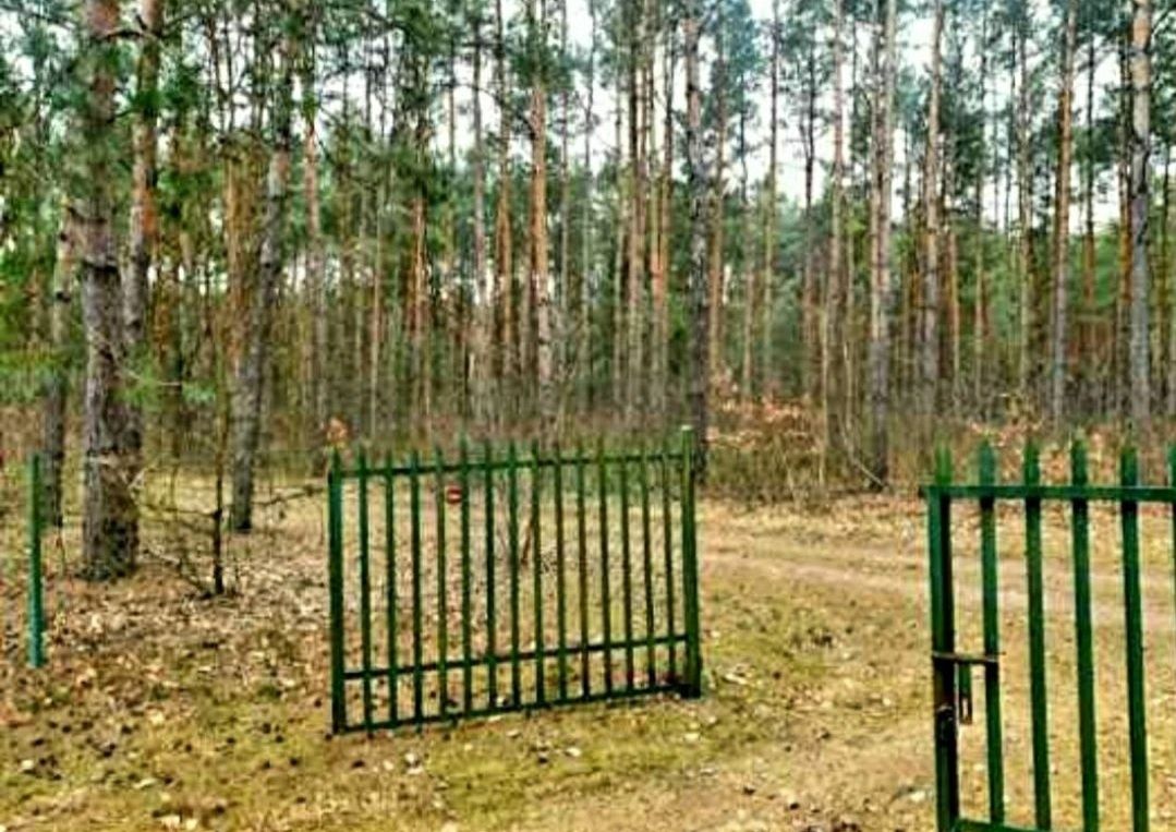 Działka budowlana Złotniki Kazimierzew. Zdjęcie 3