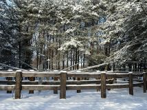 gospodarstwo, 4 pokoje Czarnybród. Zdjęcie 1