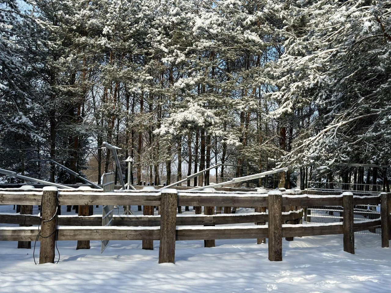 gospodarstwo, 4 pokoje Czarnybród. Zdjęcie 2