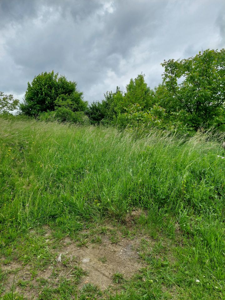 Działka budowlana Równe, ul. Pocztowa. Zdjęcie 7