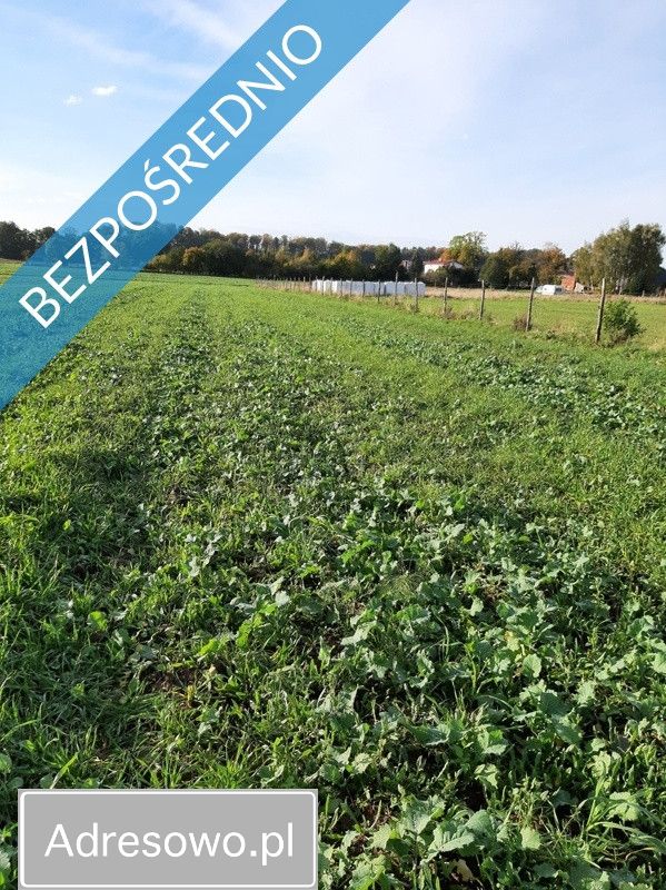 Działka rolno-budowlana Pobłocie. Zdjęcie 2