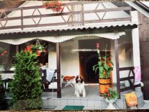 Działka rekreacyjna Kaniwola. Zdjęcie 2