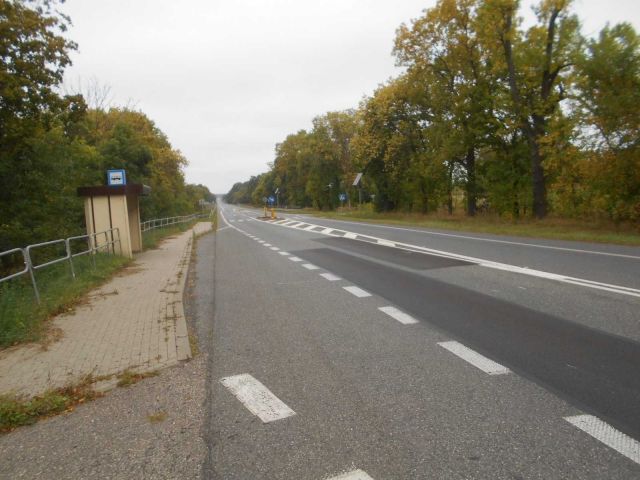 Działka rolno-budowlana Piotrowina. Zdjęcie 1