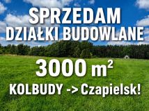 Działka budowlana Czapielsk. Zdjęcie 1