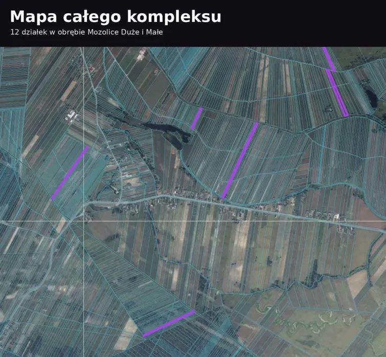 Działka rolna Mozolice Duże. Zdjęcie 7