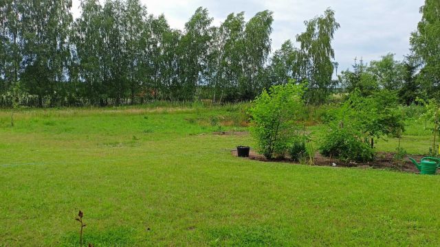 Działka rolna Kamierowskie Piece Trzcianka. Zdjęcie 1