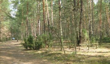 Działka budowlana Otwock Śródborów, ul. Telimeny
