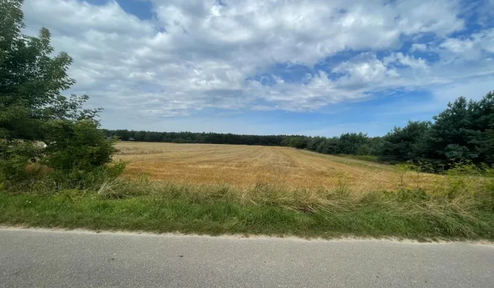 Działka budowlana Wymysły, ul. Dzikiej Róży