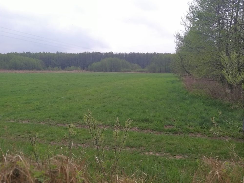 Działka rolno-budowlana Licheń Stary