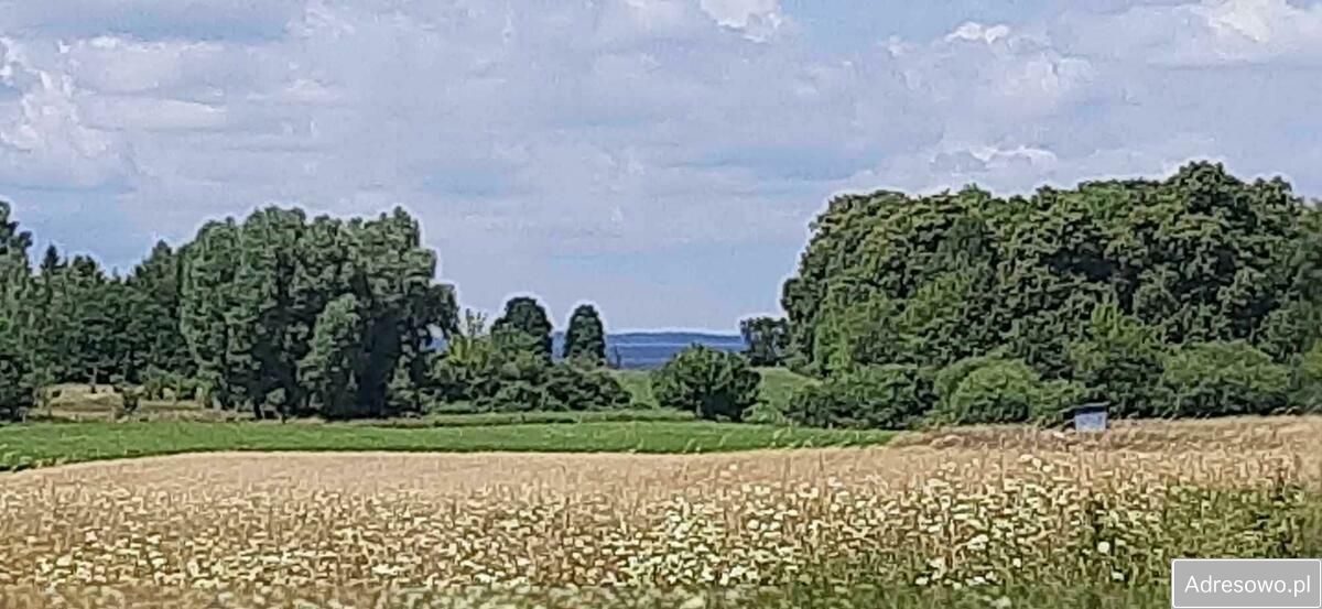 Działka rolna Zdory. Zdjęcie 3