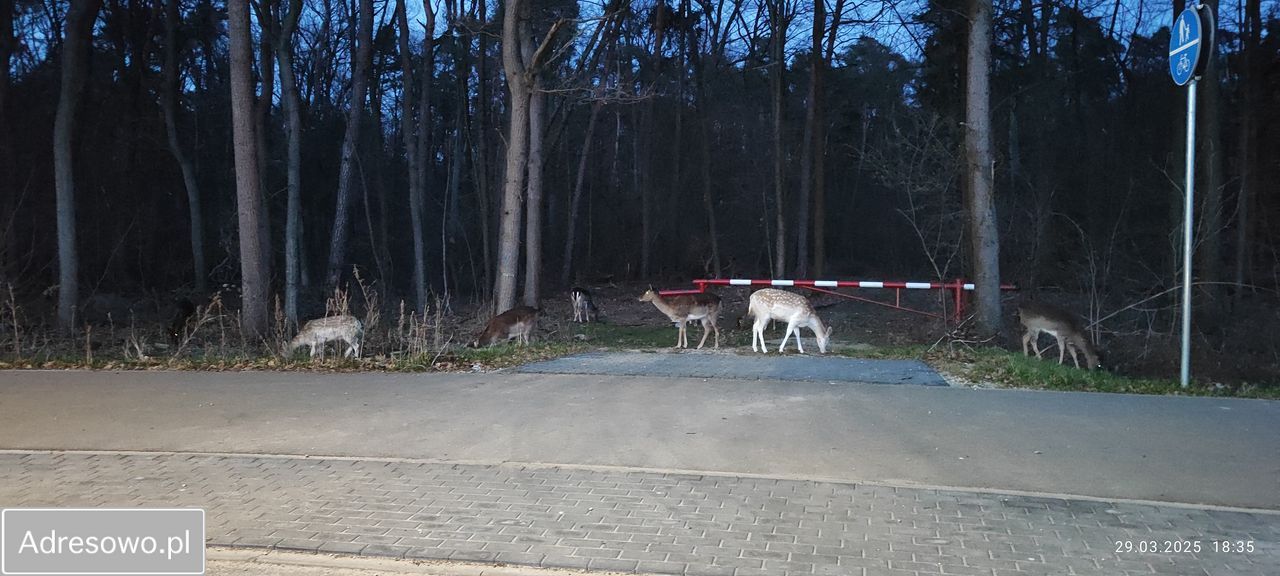 bliźniak, 5 pokoi Jaroszowa Wola, ul. Leśna. Zdjęcie 6