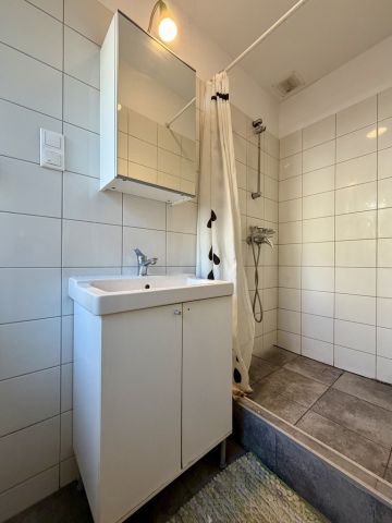Mieszkanie 1-pokojowe Katowice Janów, ul. Zamkowa. Zdjęcie 7