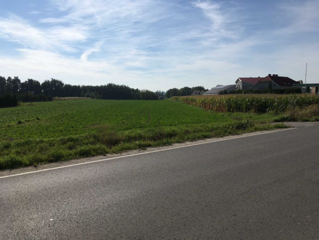Działka inwestycyjna Sokołowice. Zdjęcie 1