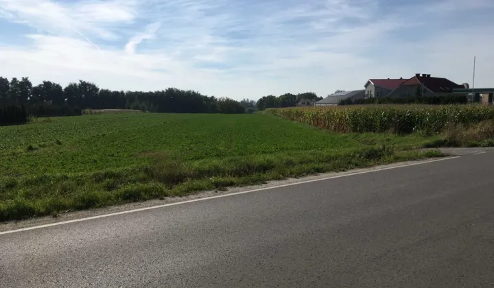 Działka inwestycyjna Sokołowice