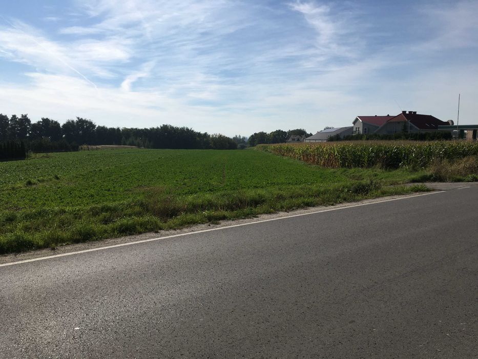 Działka na sprzedaż bez pośredników
Sokołowice